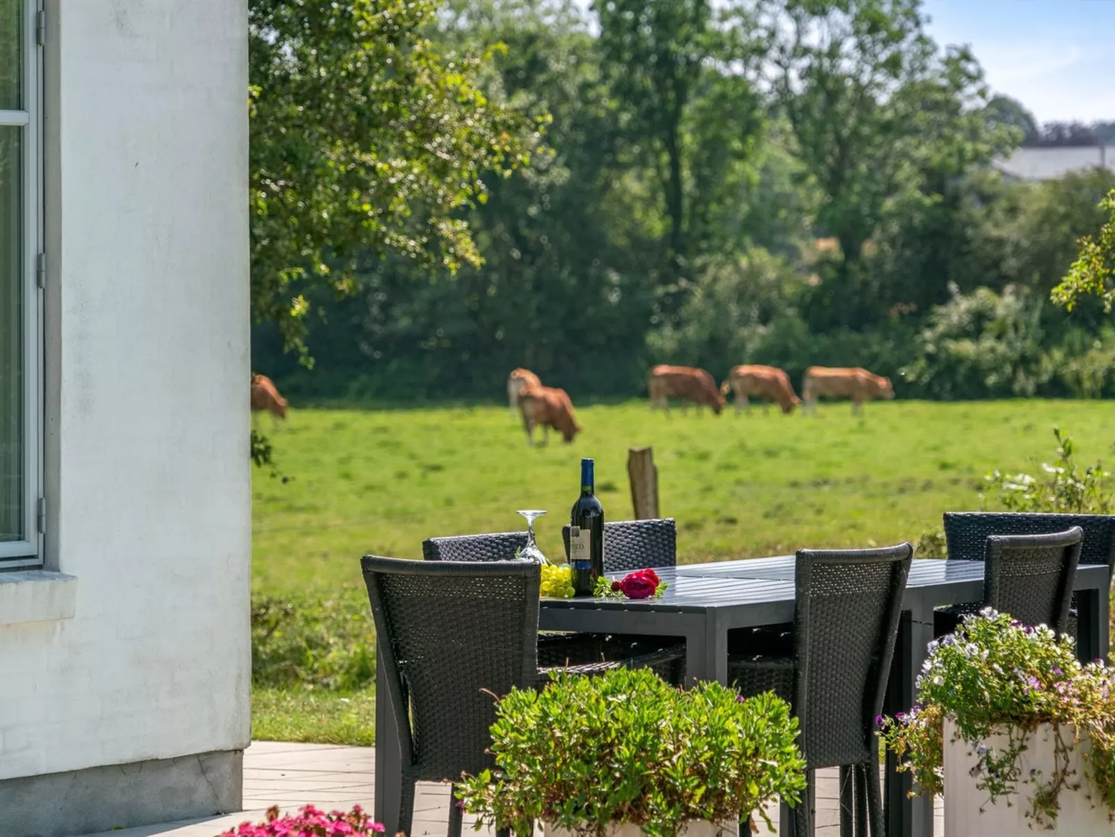 "Jeppe" - 50m to the fjord-Binnen