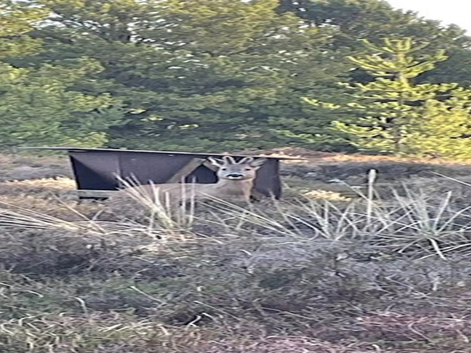 "Artan" - 2.6km from the sea-Binnen