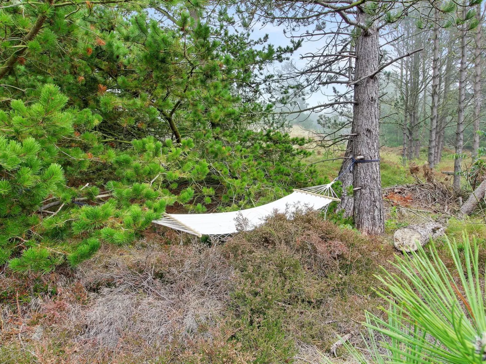 "Turkka" - 3.8km from the sea-Buiten