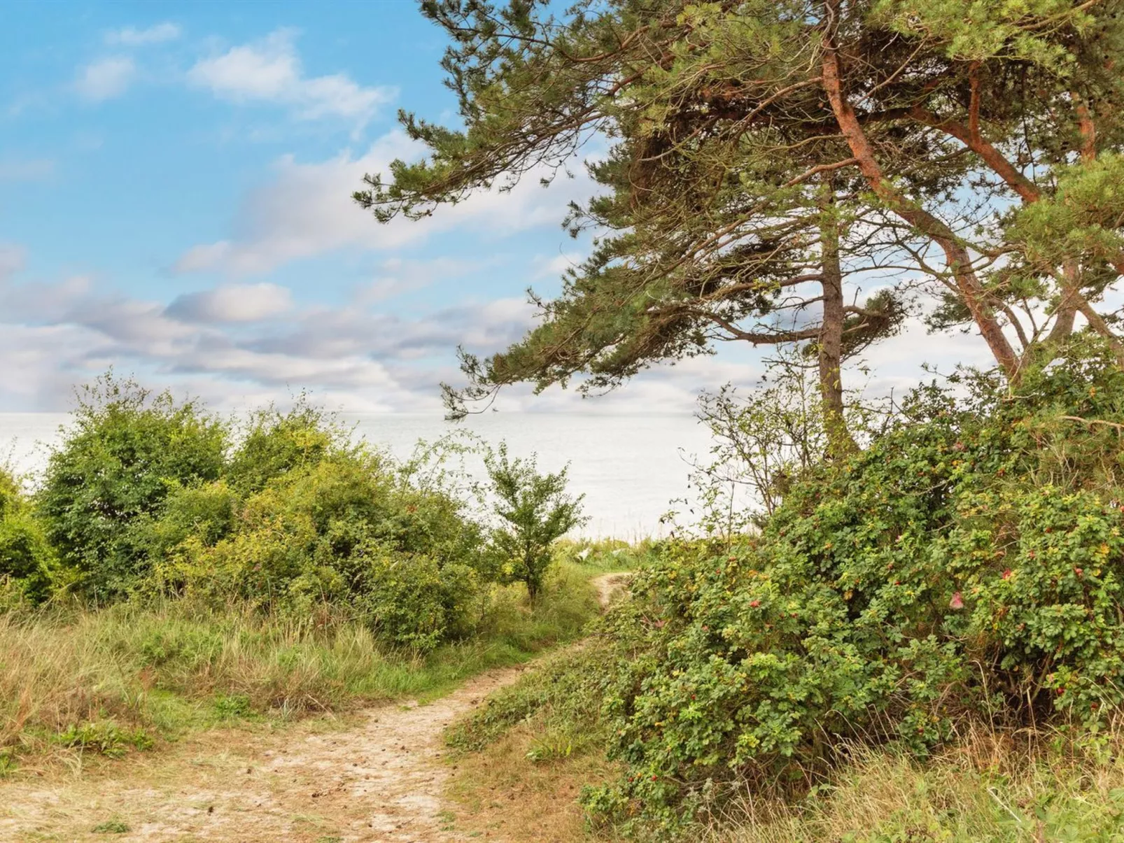 "Milrid" - 800m from the sea-Buiten