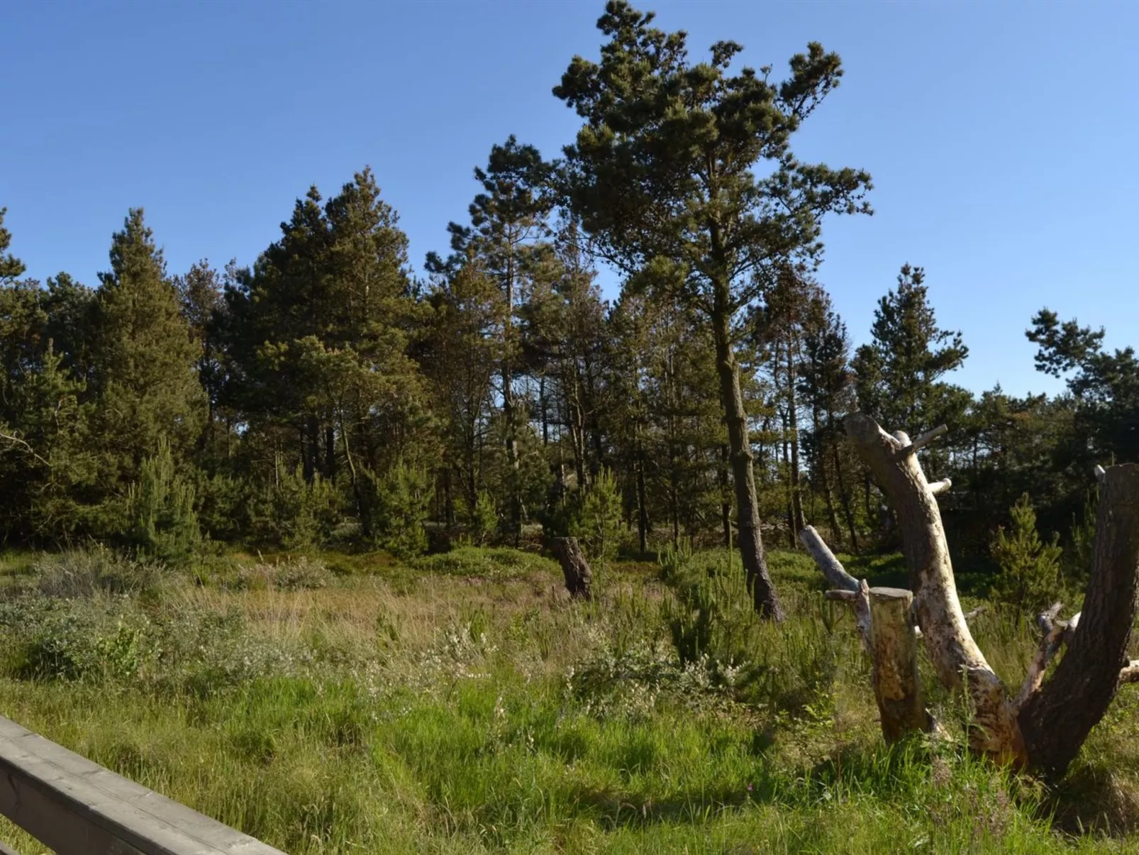 "Harthwik" - 1km from the sea-Buiten