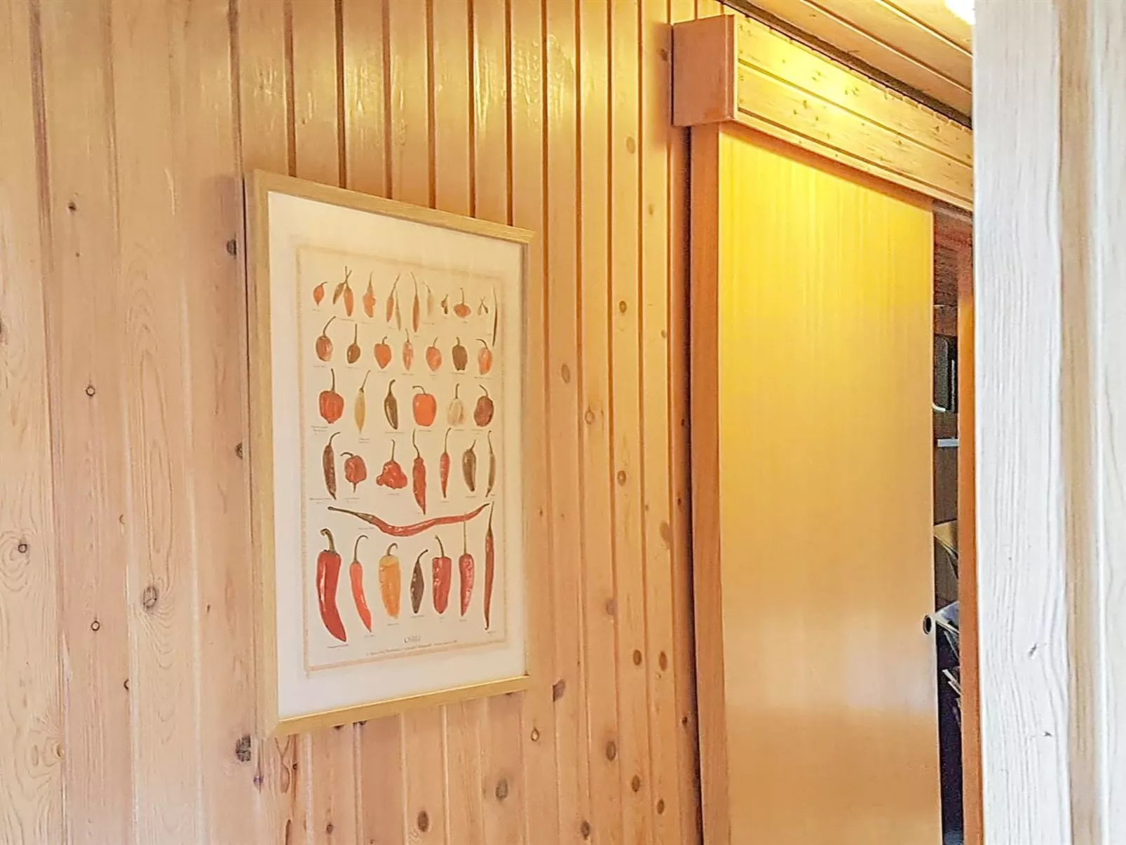 "Frode" - 400m from the sea-Binnen