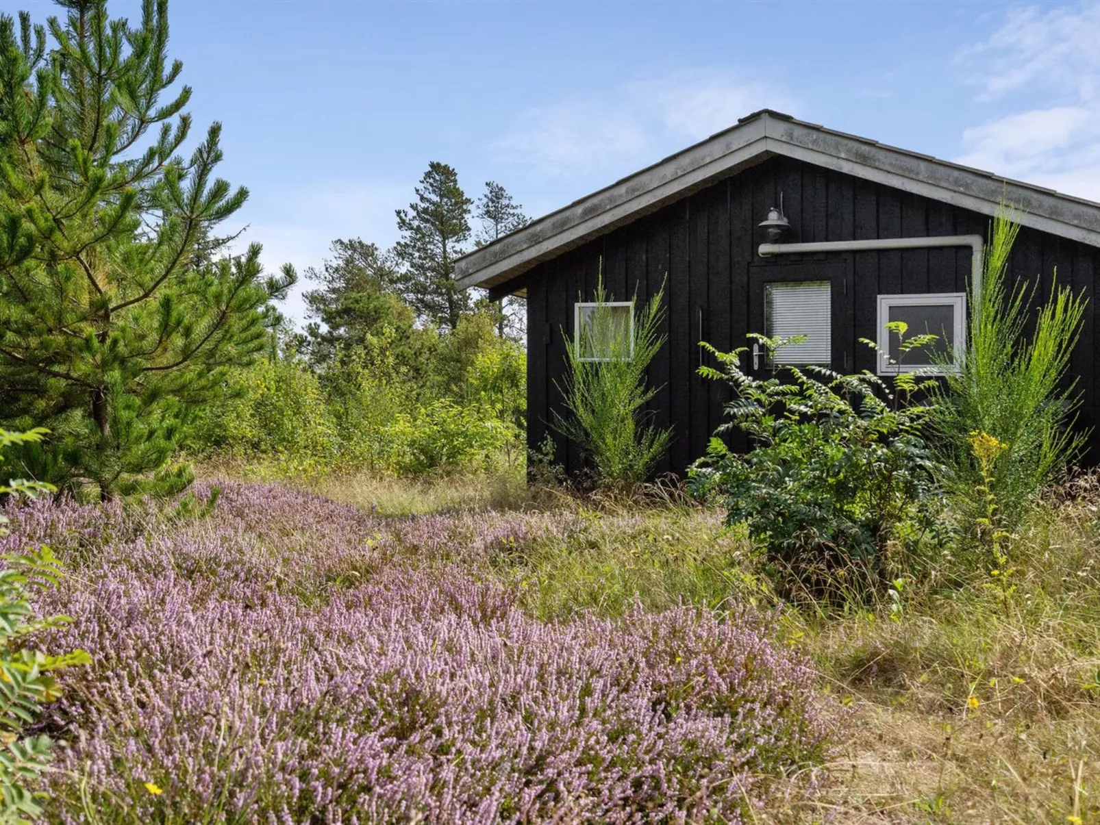 "Asmo" - 350m from the sea-Buiten