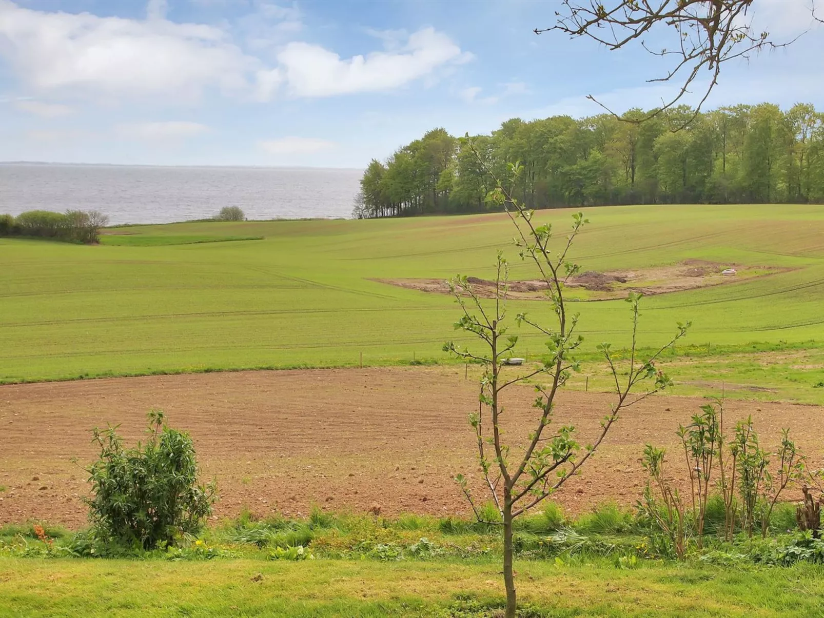 "Hoimar" - 400m from the sea-Buiten