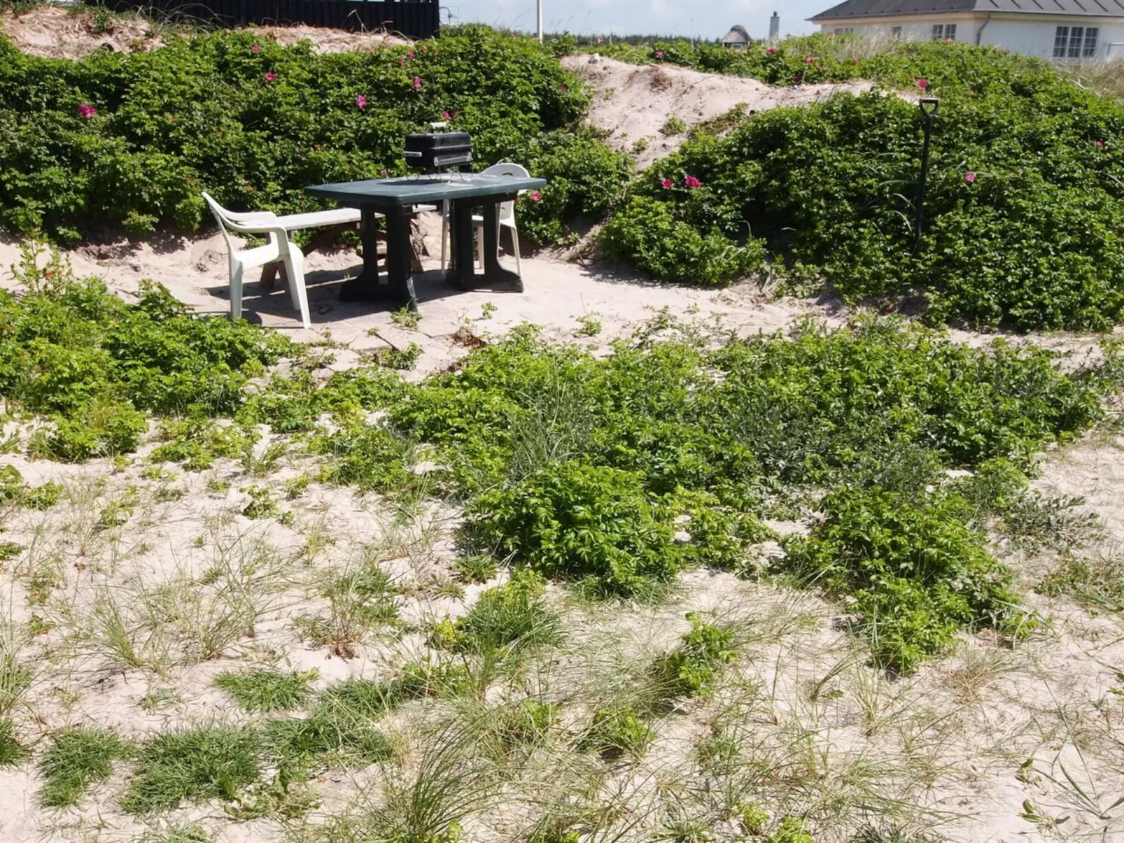 "Analia" -  from the sea-Buiten