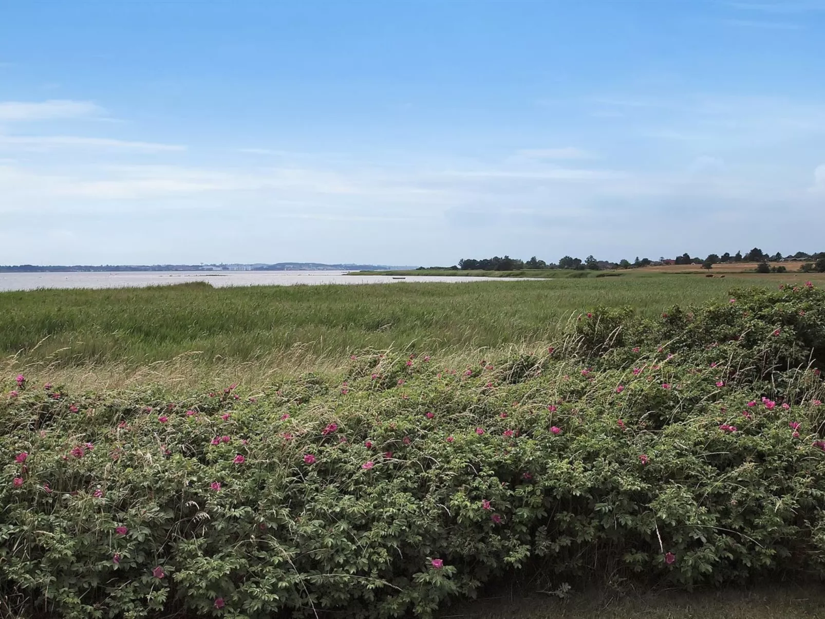 "Jeip" - 400m to the fjord-Buiten