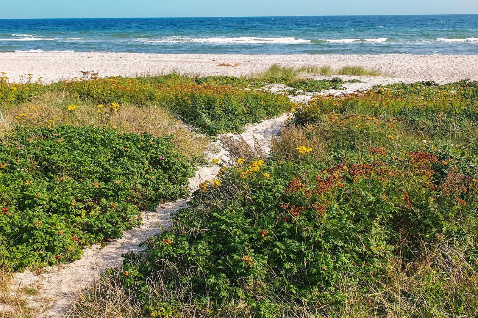 6 persoons vakantie huis in Sydals-By Traum-Waterzicht