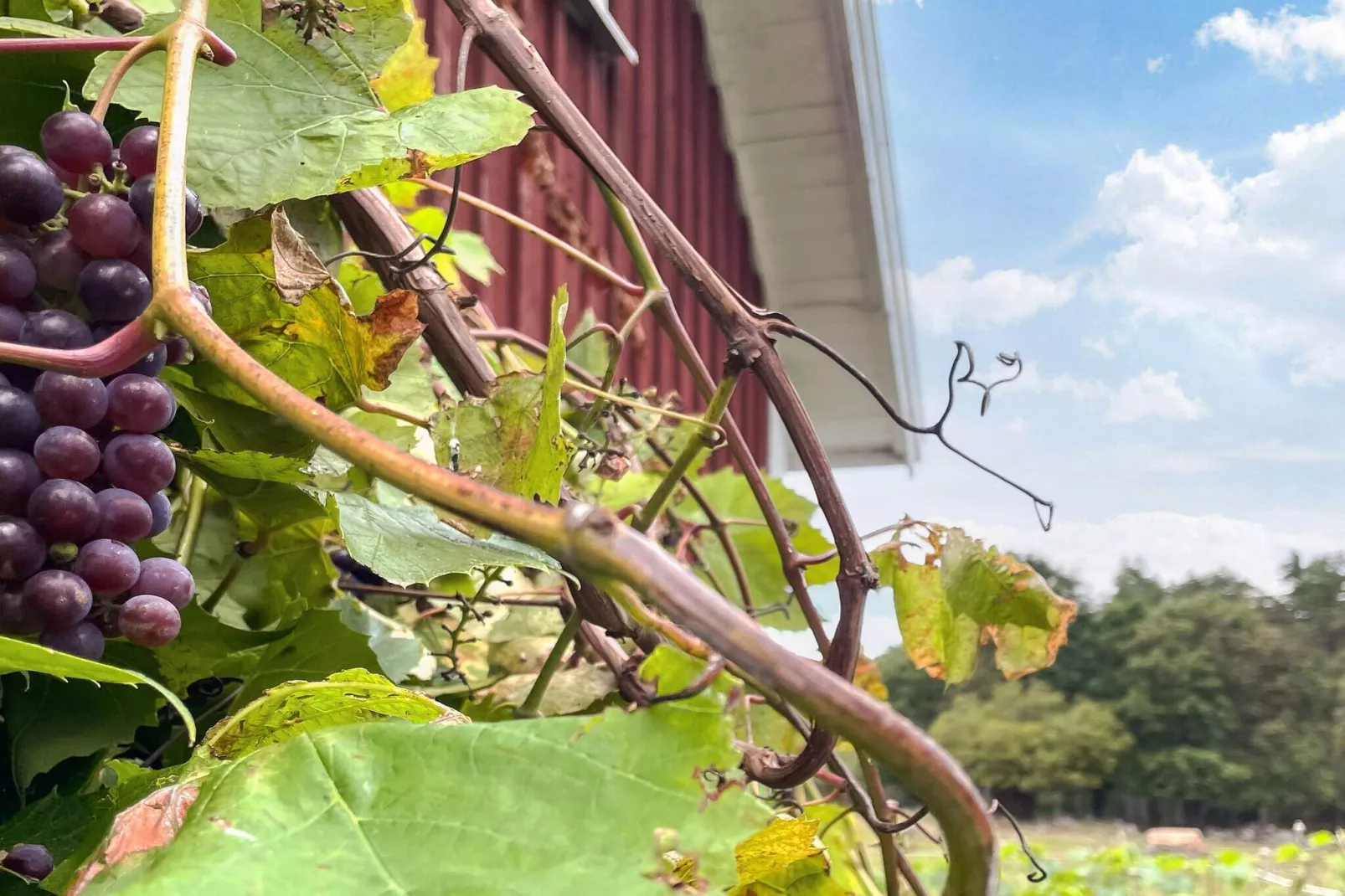 3 persoons vakantie huis in Berga-By Traum-Buitenlucht