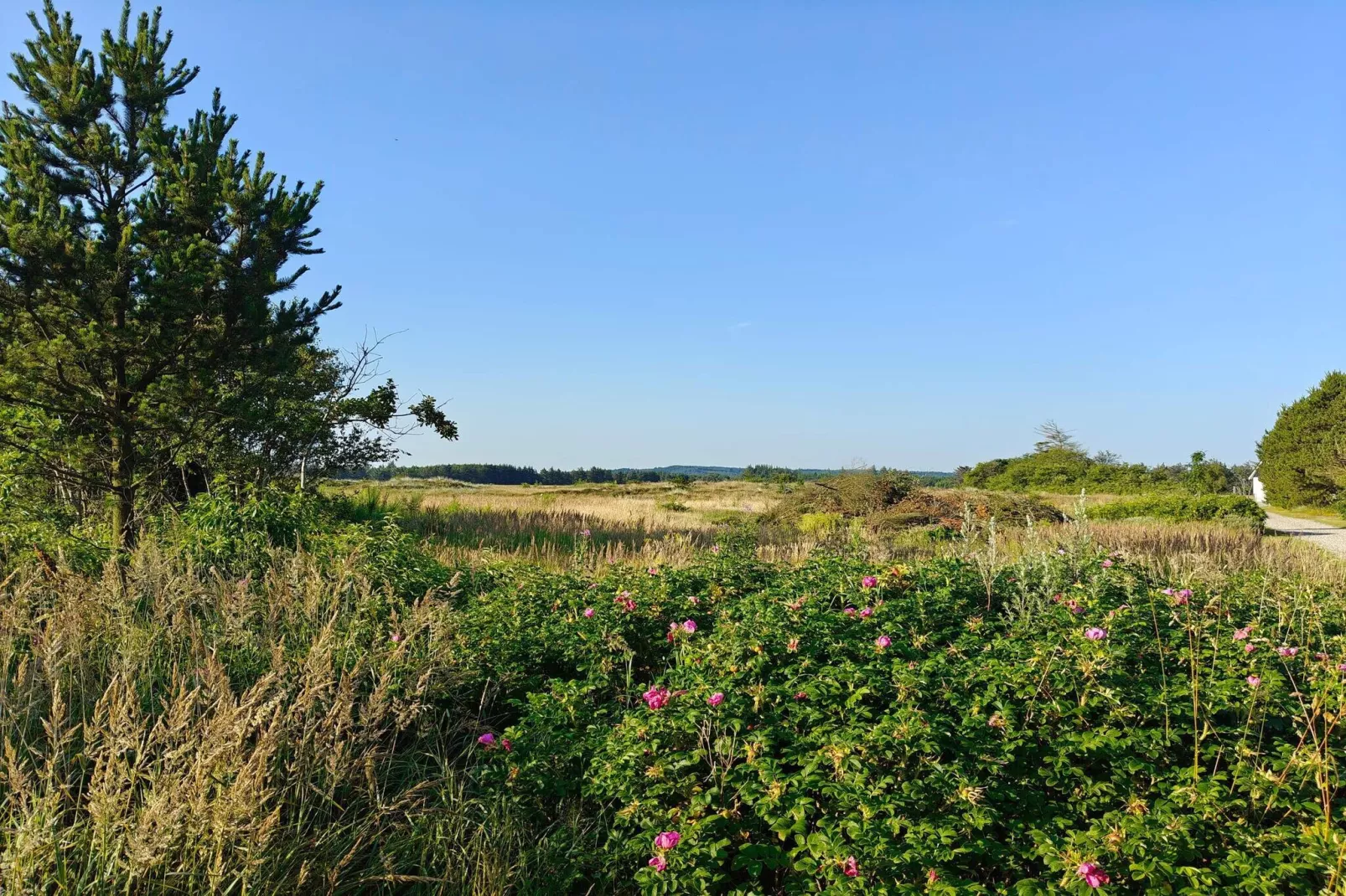 6 persoons vakantie huis in Pandrup-By Traum-Niet-getagd