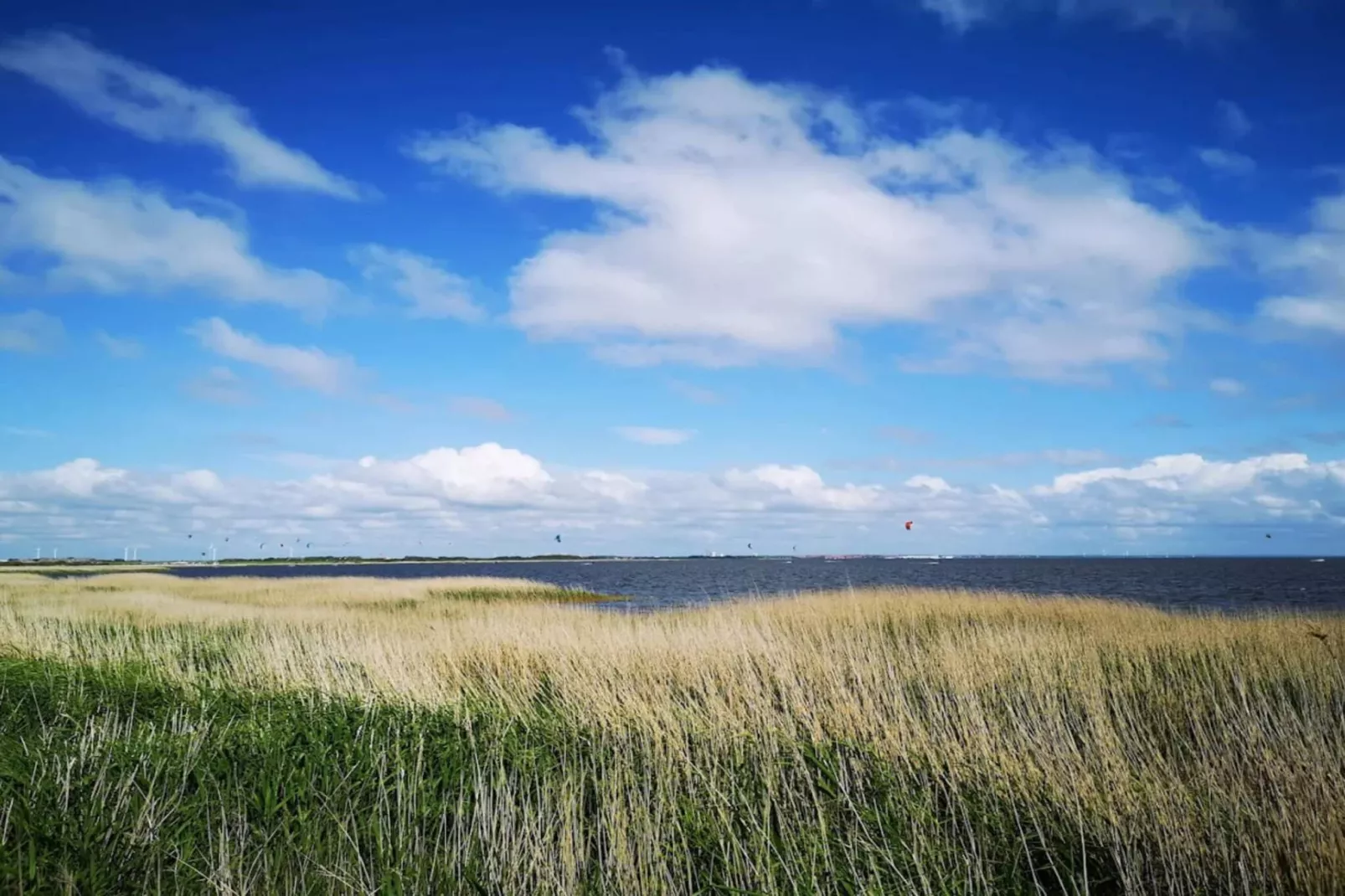 4 persoons vakantie huis in Ringkøbing-By Traum-Waterzicht