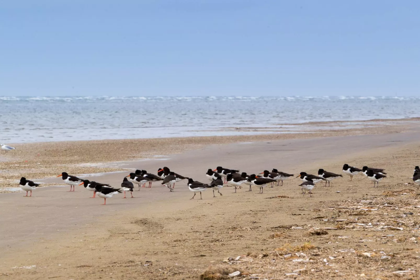 Rustieke Strandhut in Rindby-By Traum