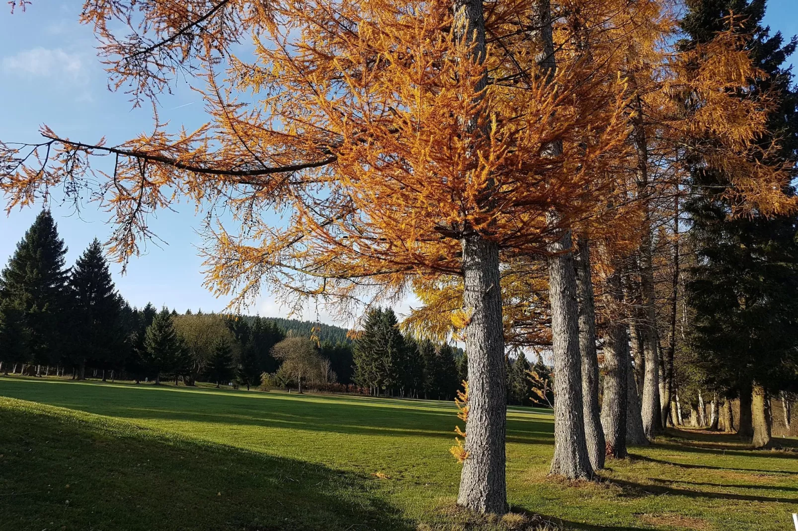 Apartment Kapperundweg 4-S-Gebieden zomer 20km
