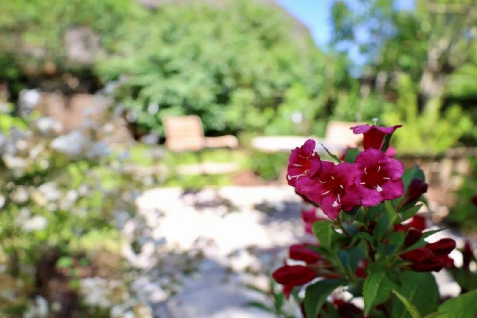 Kapteins Hüüs - ganzes Haus-Woonkamer