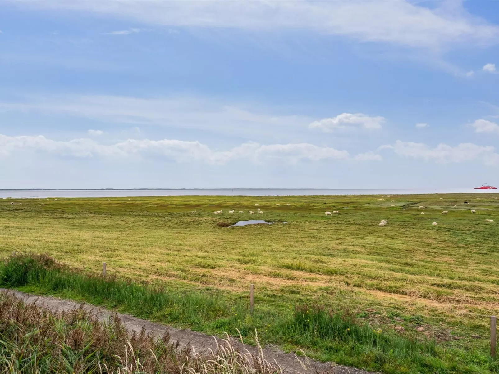 "Rohan" - 2.2km from the sea-Buiten