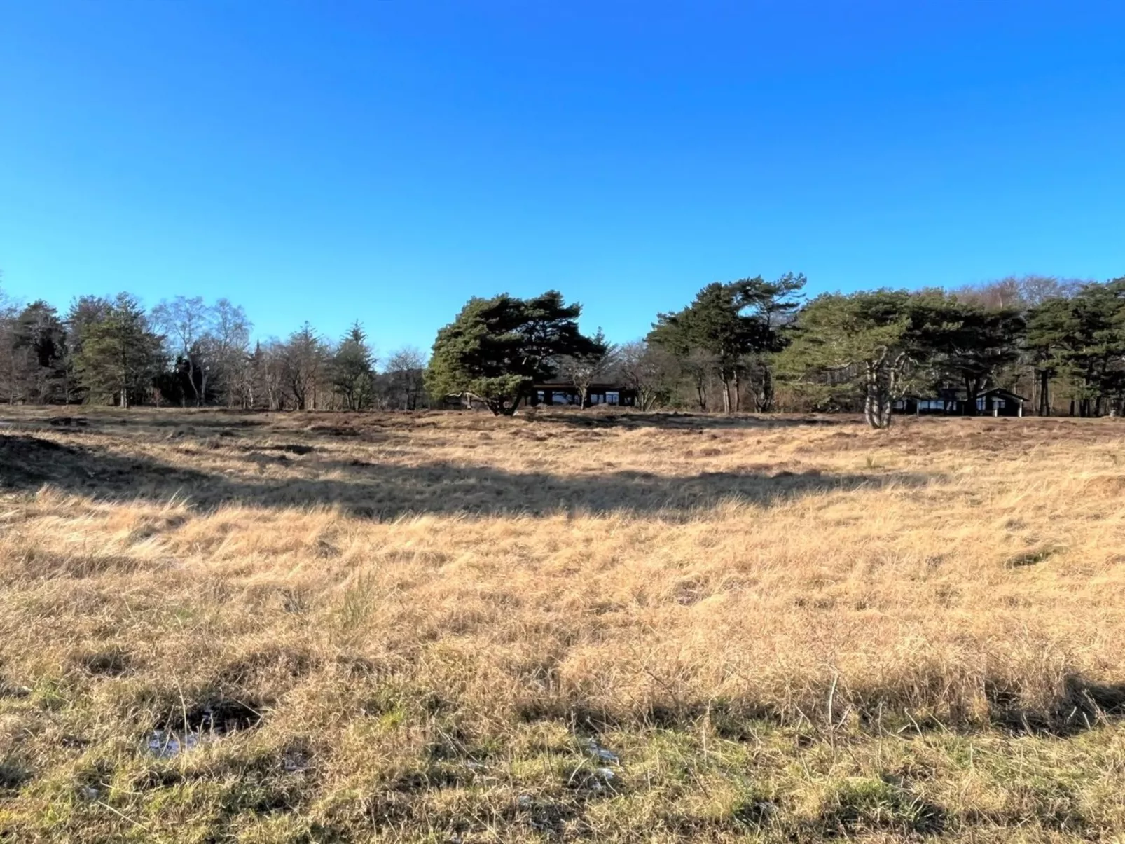 "Toska" - 100m to the fjord-Buiten