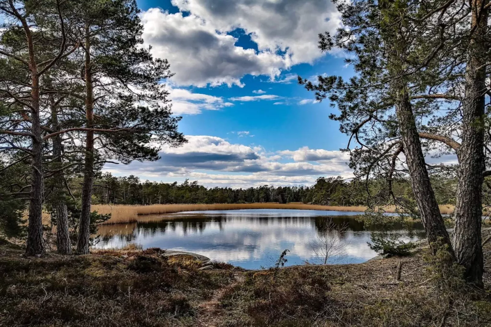 4 sterren vakantie huis in INGARÖ-By Traum - Waterzicht