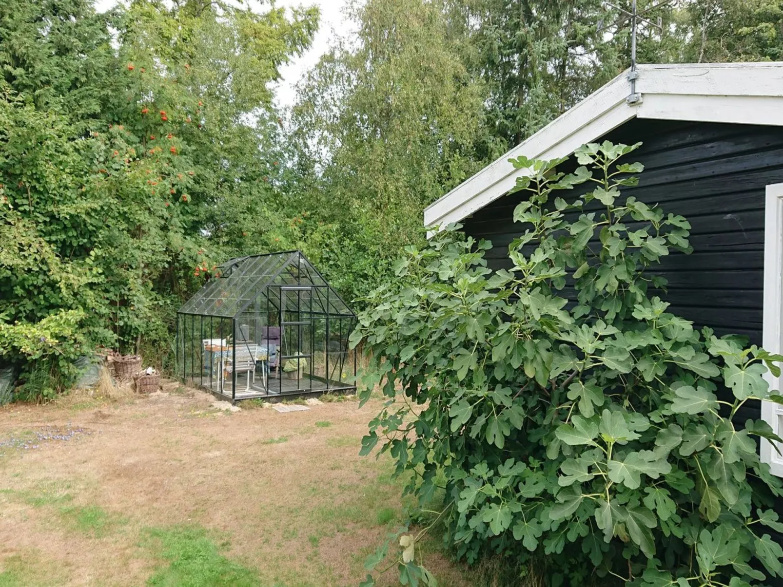 "Elisa" - 600m from the sea-Buiten