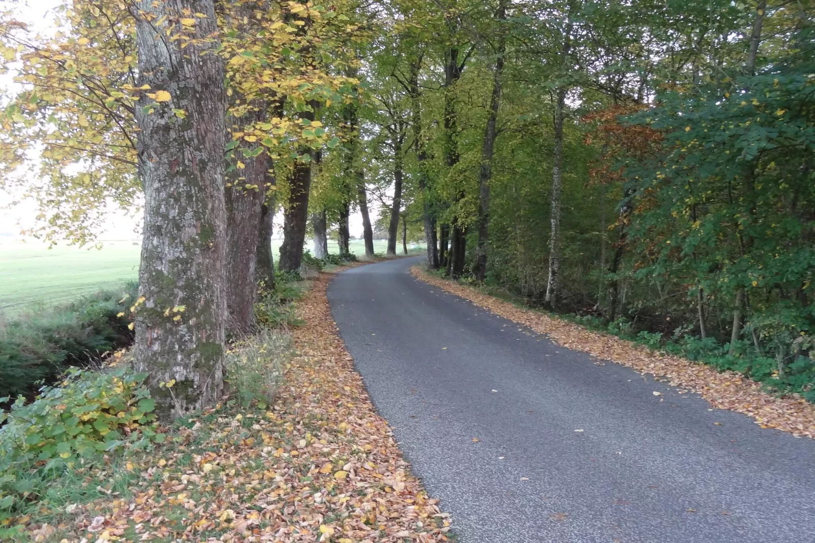 Panoramisch fjordverblijf met spabad-Waterzicht