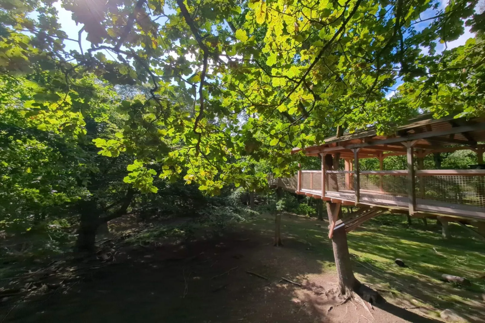 4 persoons vakantiehuis in Hoor-Niet-getagd