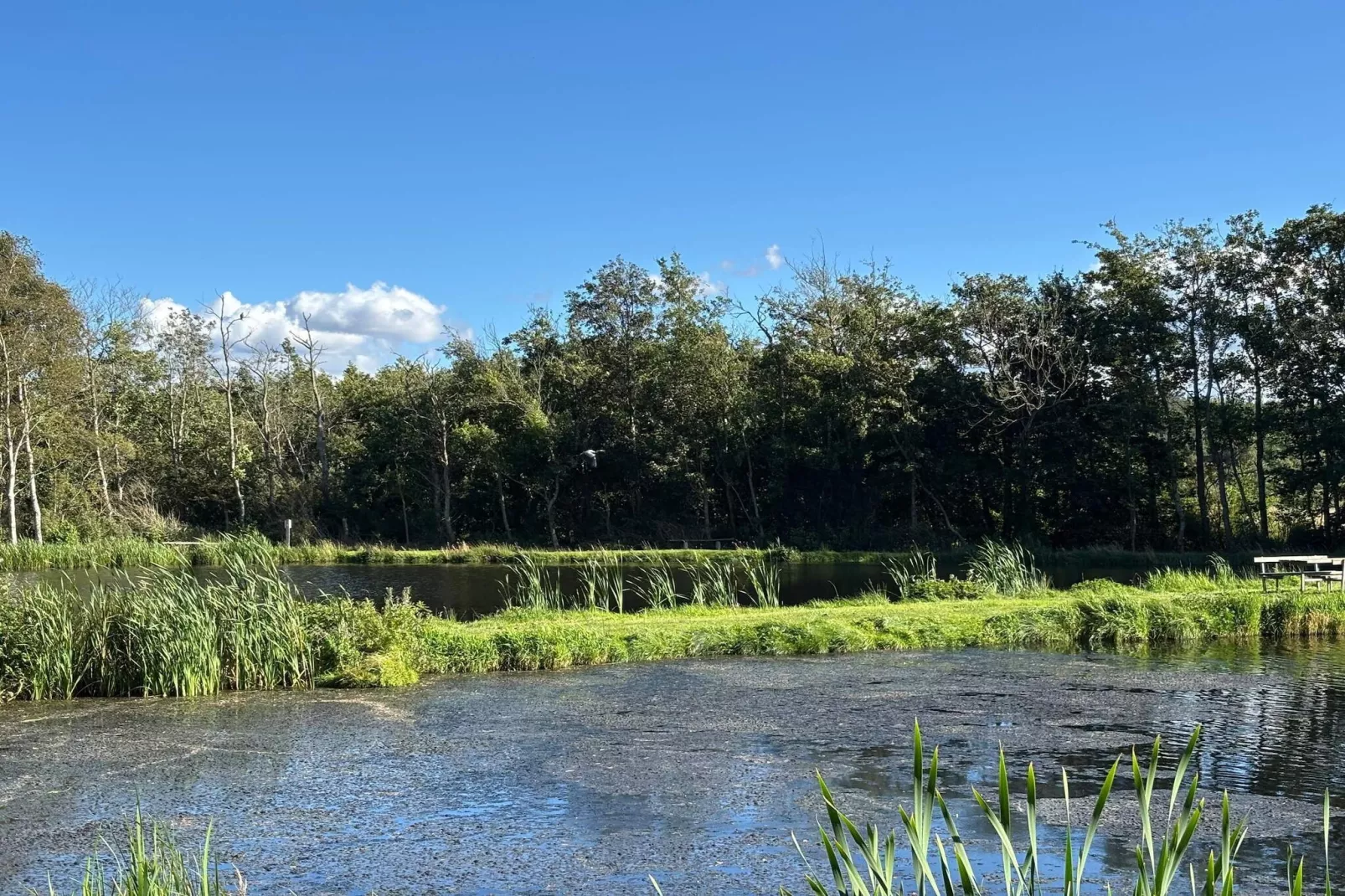 4 sterren vakantie huis in Hals-Waterzicht