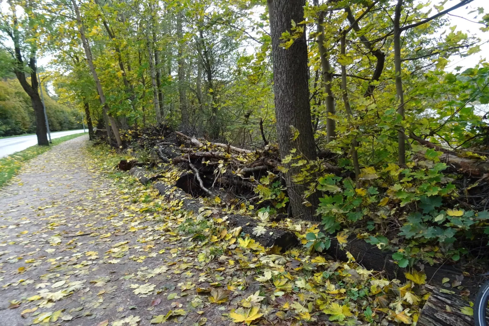 Luxus-Familienappartement / 8 Personen-Gebieden zomer 5km