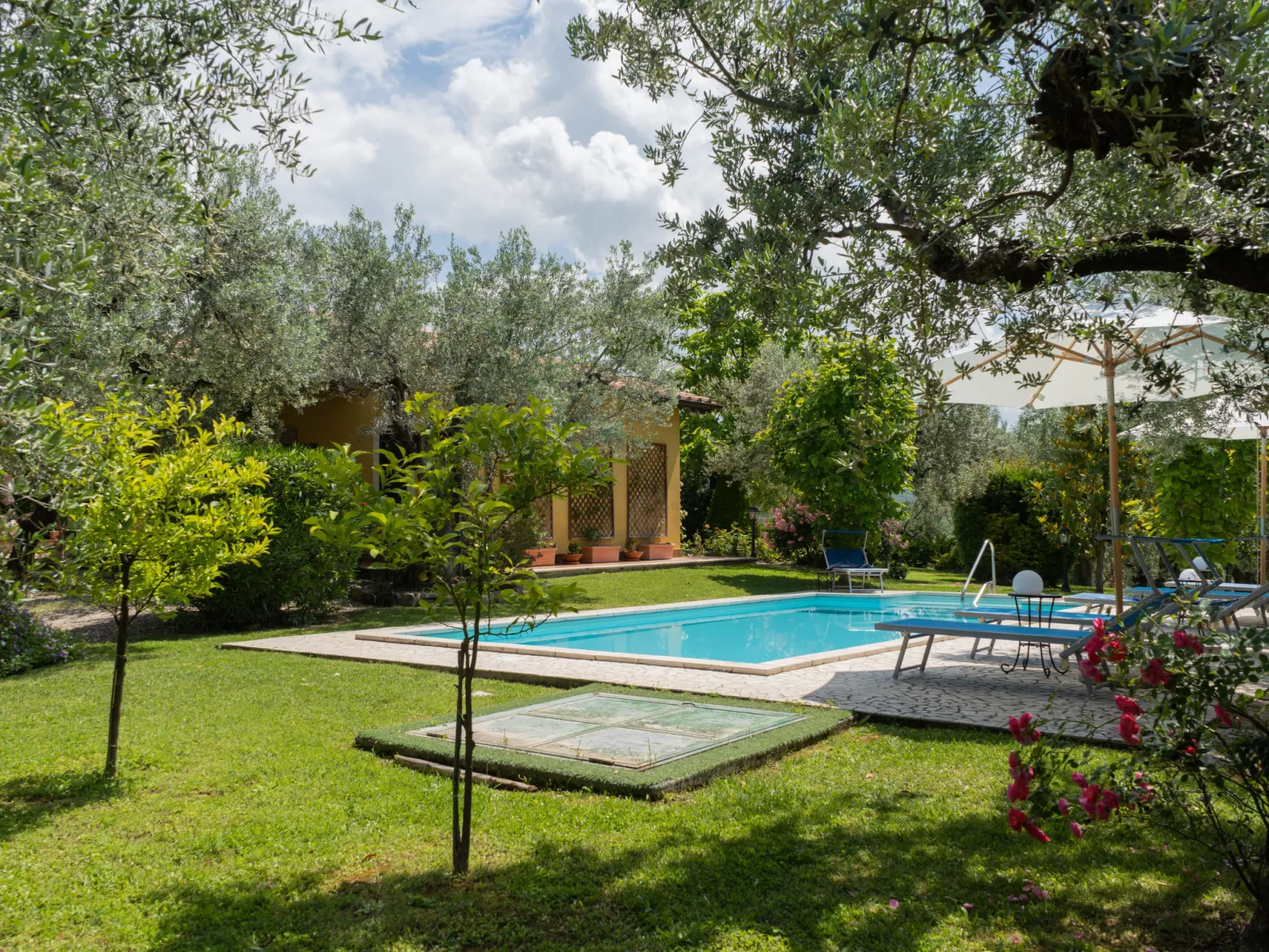 Olive Grove Sabina-Buiten