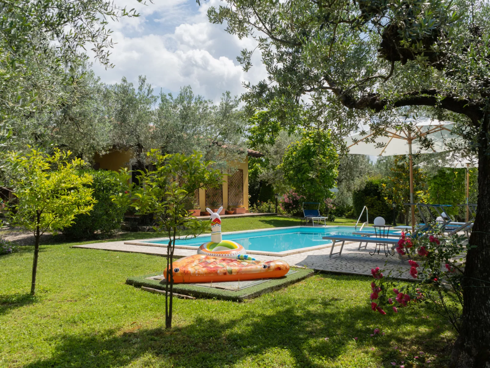 Olive Grove Sabina-Buiten