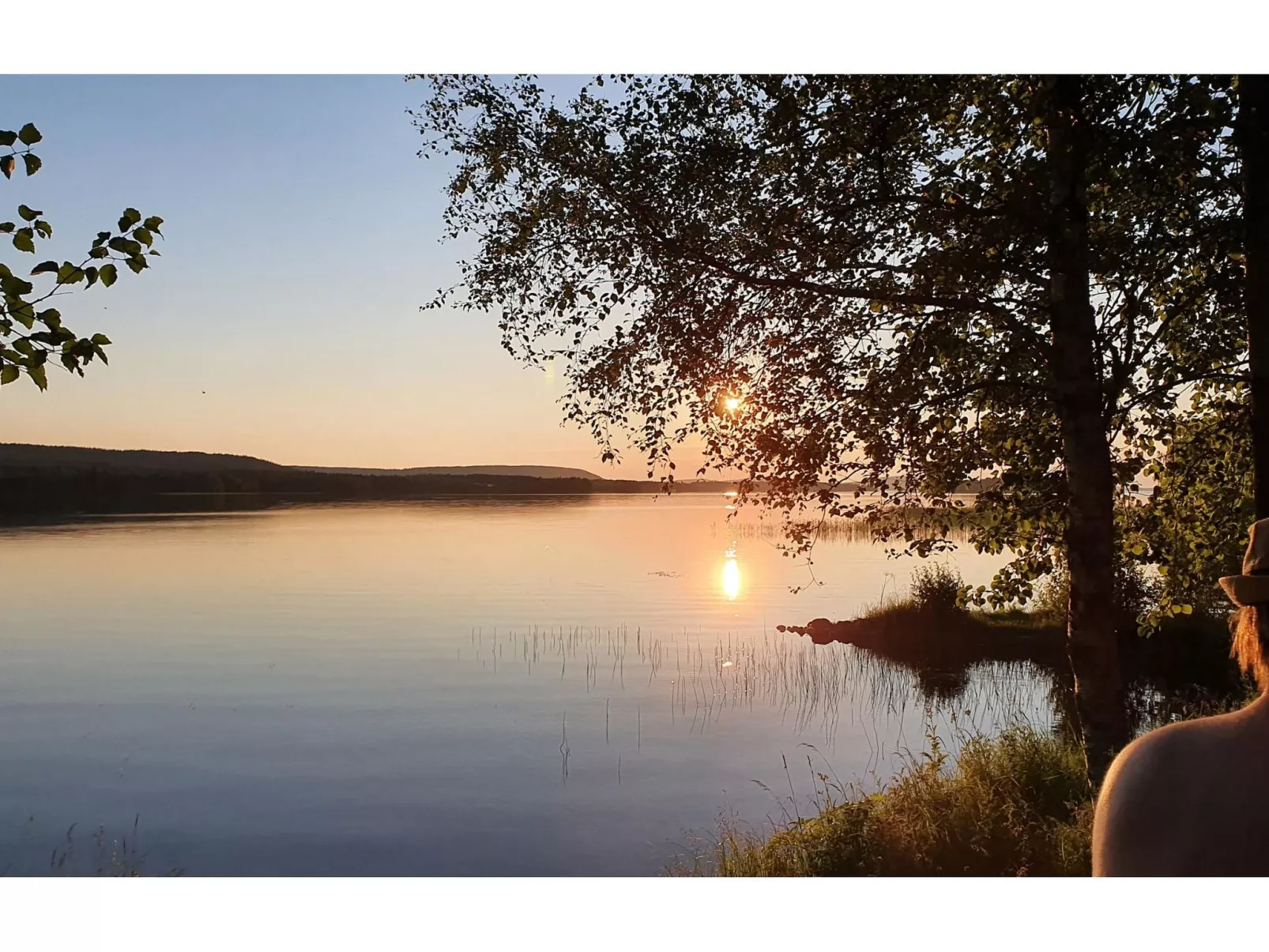 Koivulahden reinola-Binnen