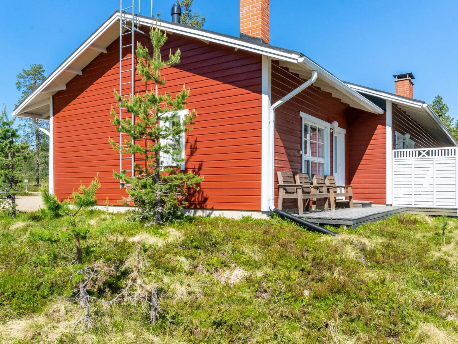 Urupää c 13-Binnen