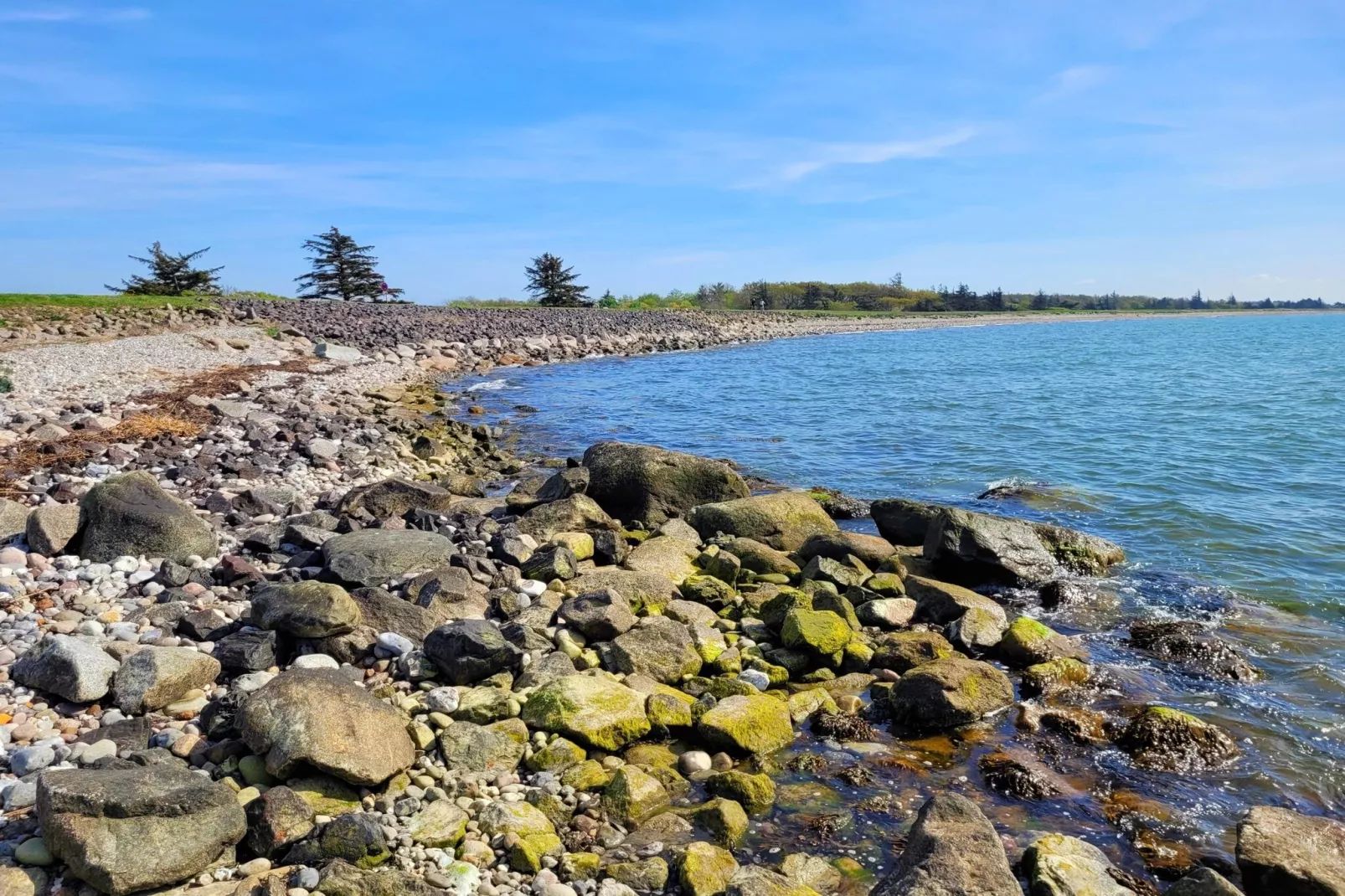 Ferienhaus Petersdorf 5 P-Gebieden zomer 5km