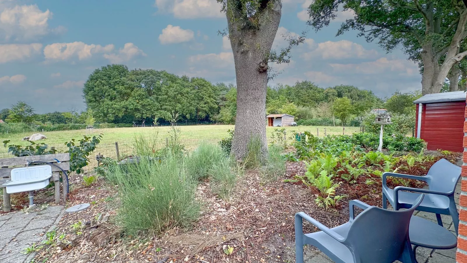Het Bunt-Uitzicht zomer