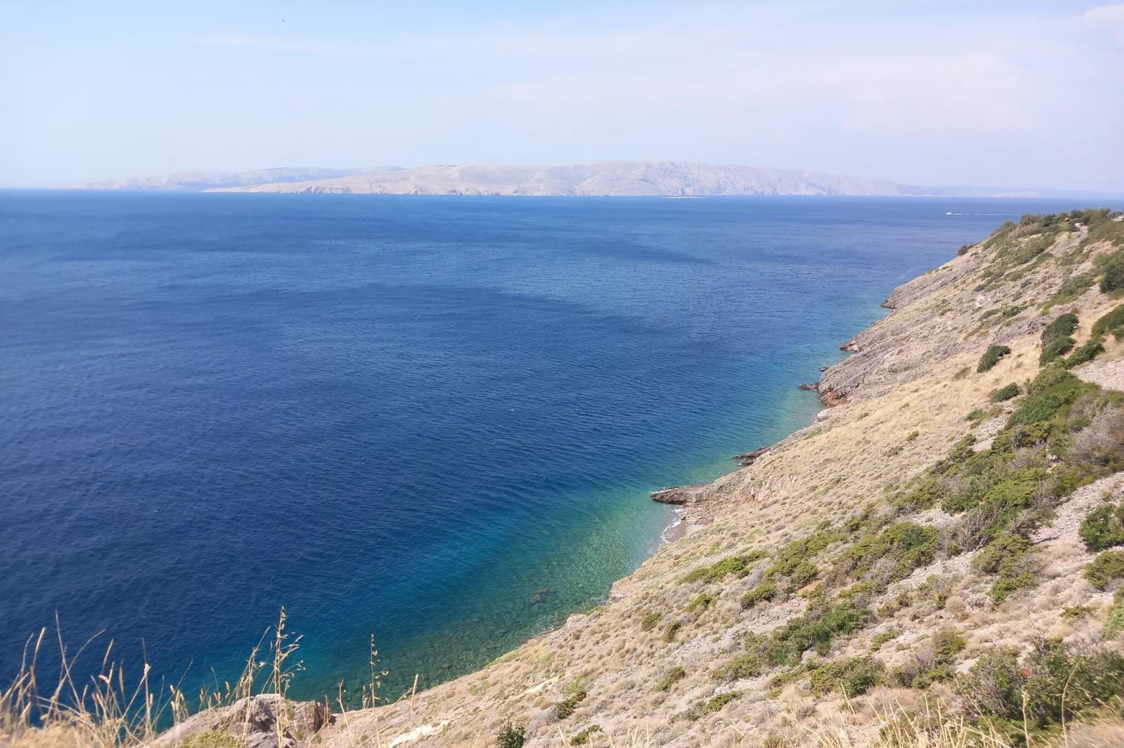 Niko 1-Gebieden zomer 1km