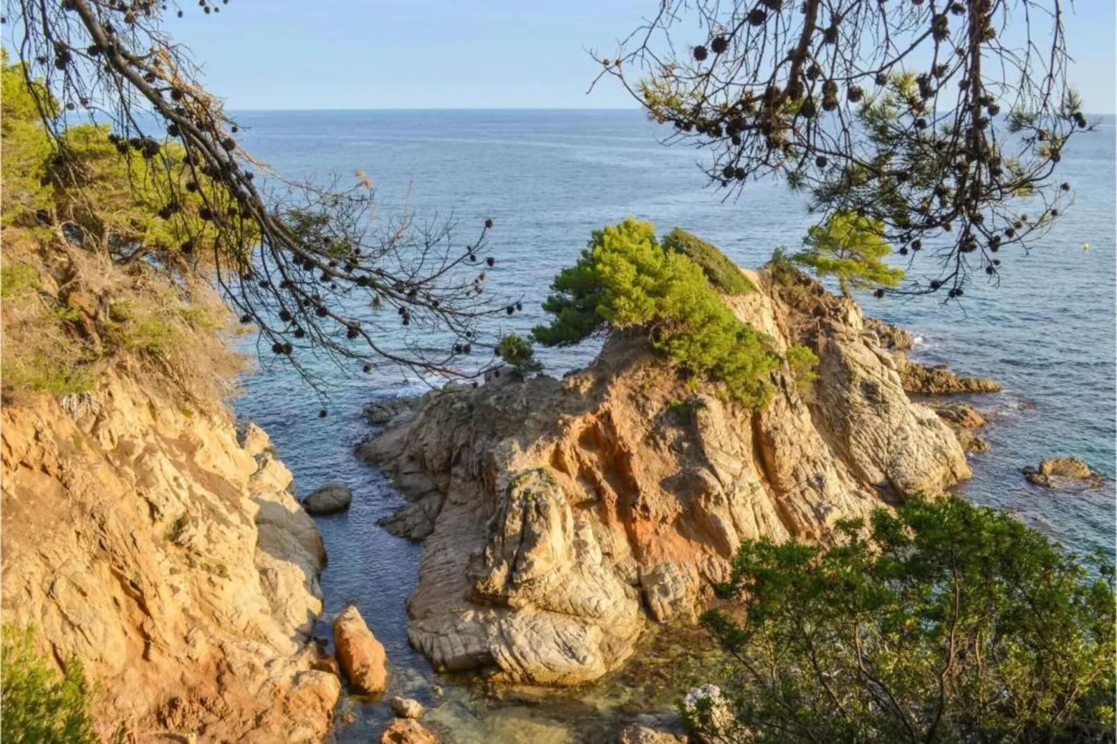 Cora-Gebieden zomer 5km
