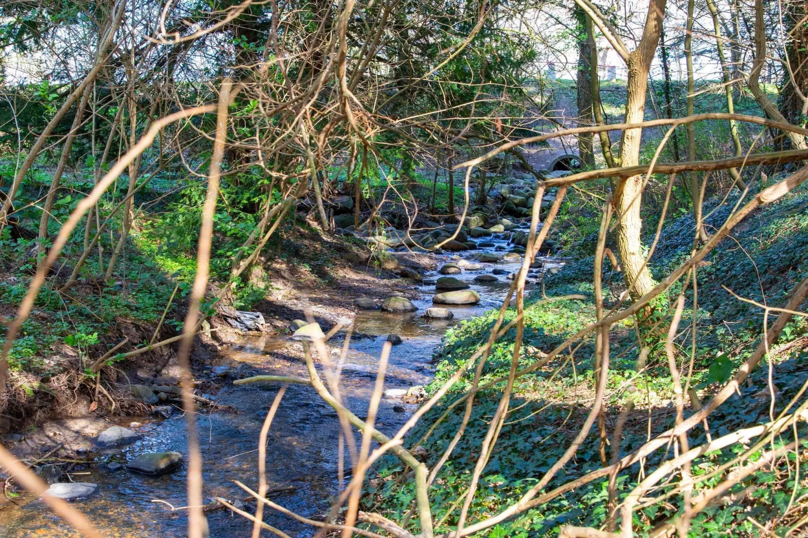 Mooi huisje vlakbij het strand-Waterzicht