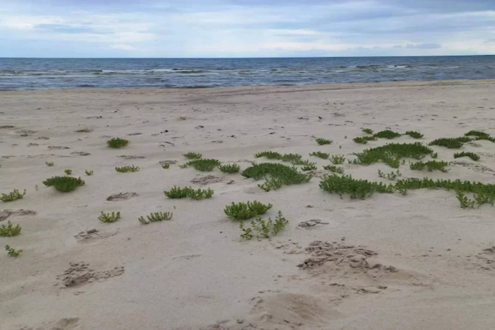 4 sterren vakantie huis in Ålbæk-Waterzicht