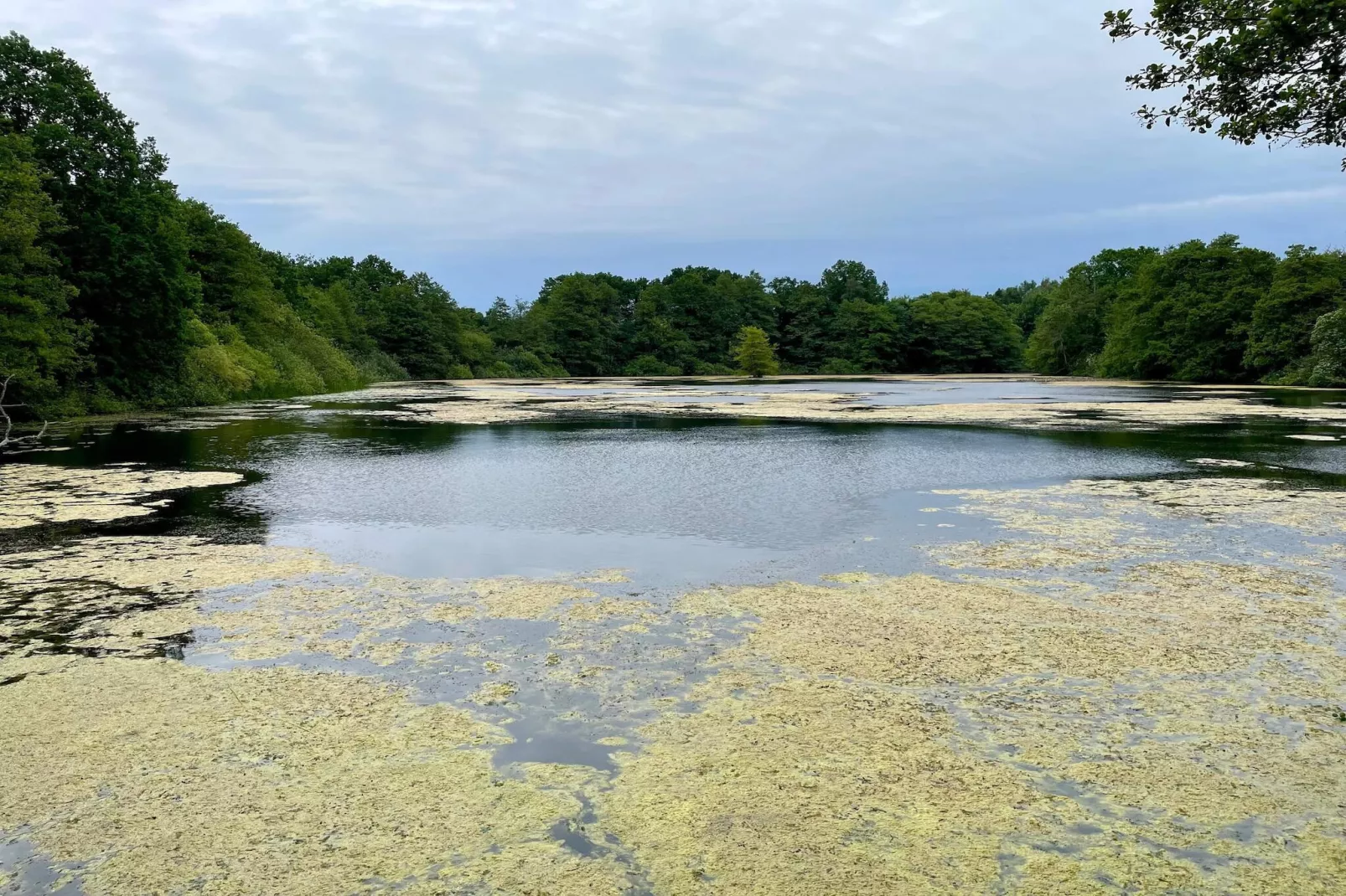 4 sterren vakantie huis in Vedbæk-Waterzicht