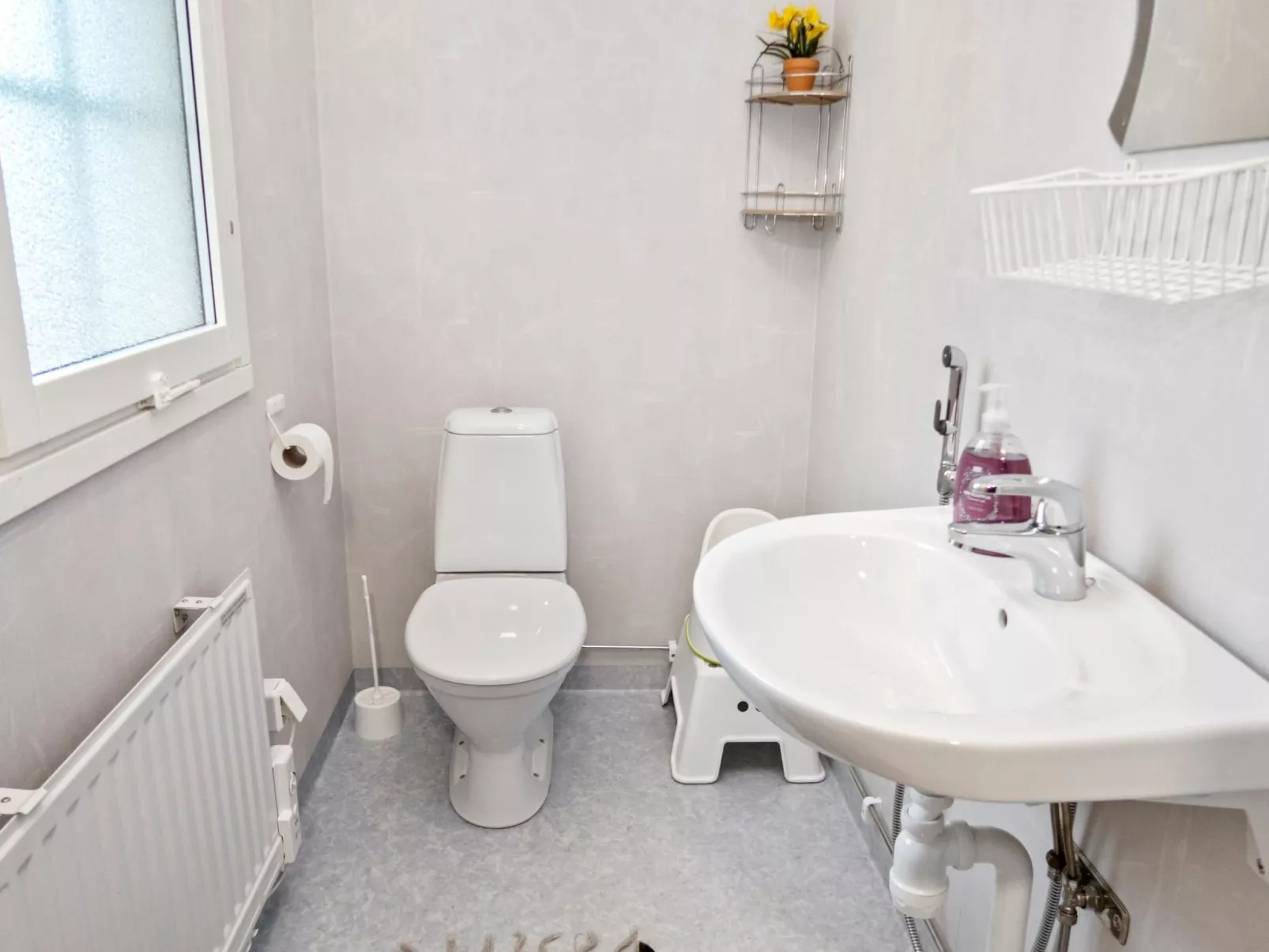 Iso-karpalo a-Binnen