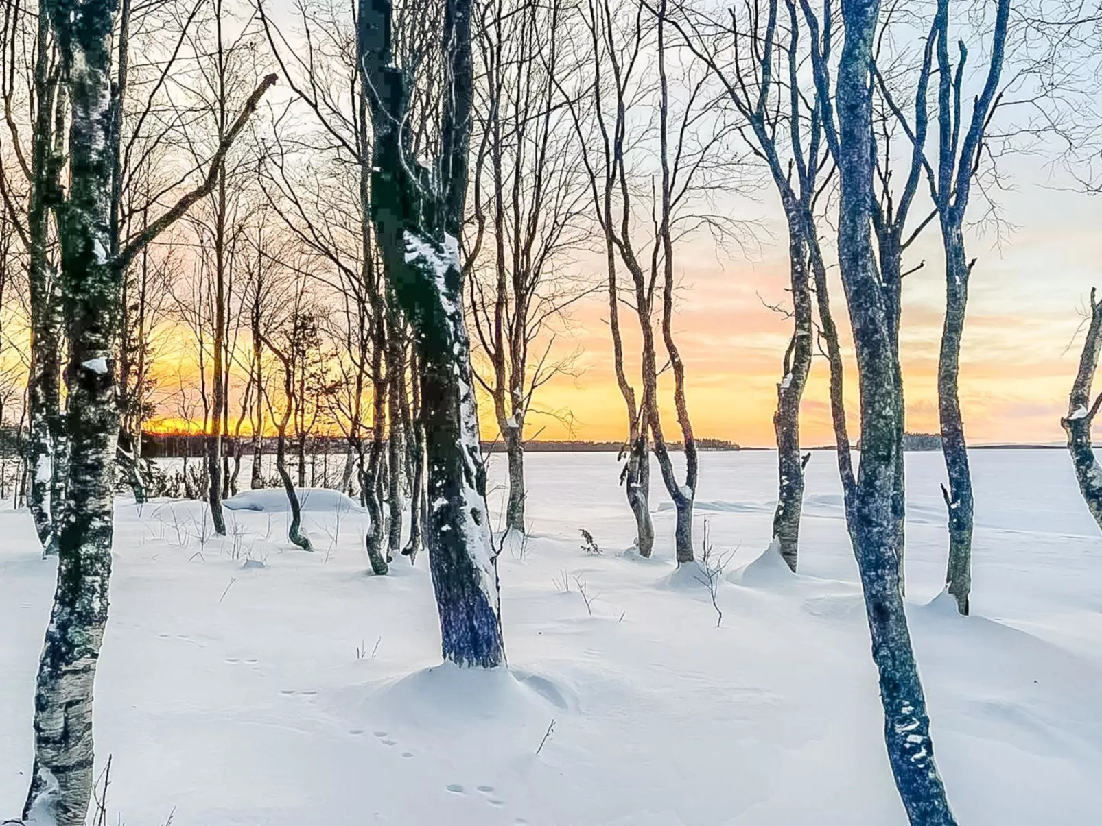 Villa rukan kesäniemi-Binnen