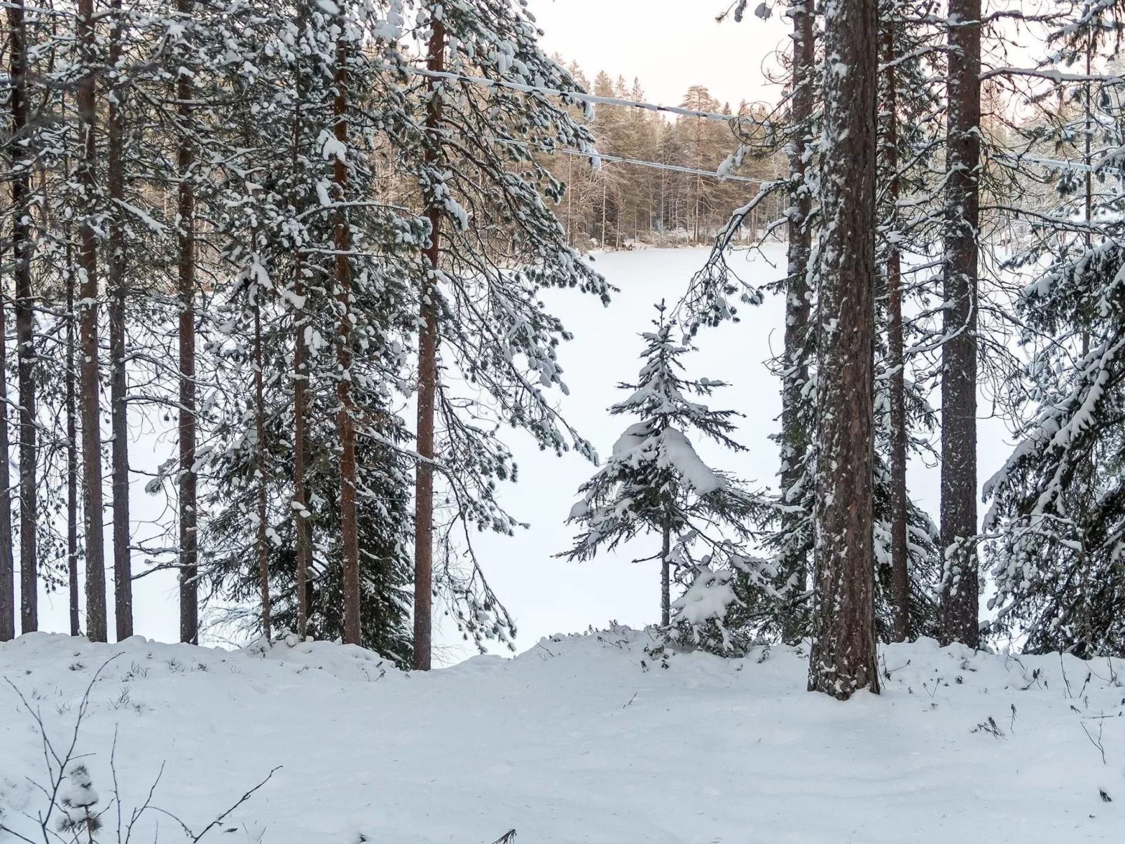 Viipusjärvi 11-Binnen