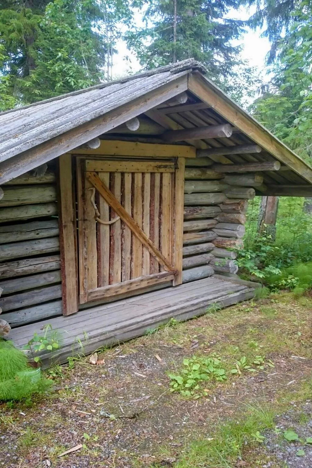 Metsä-pihlaja-Binnen