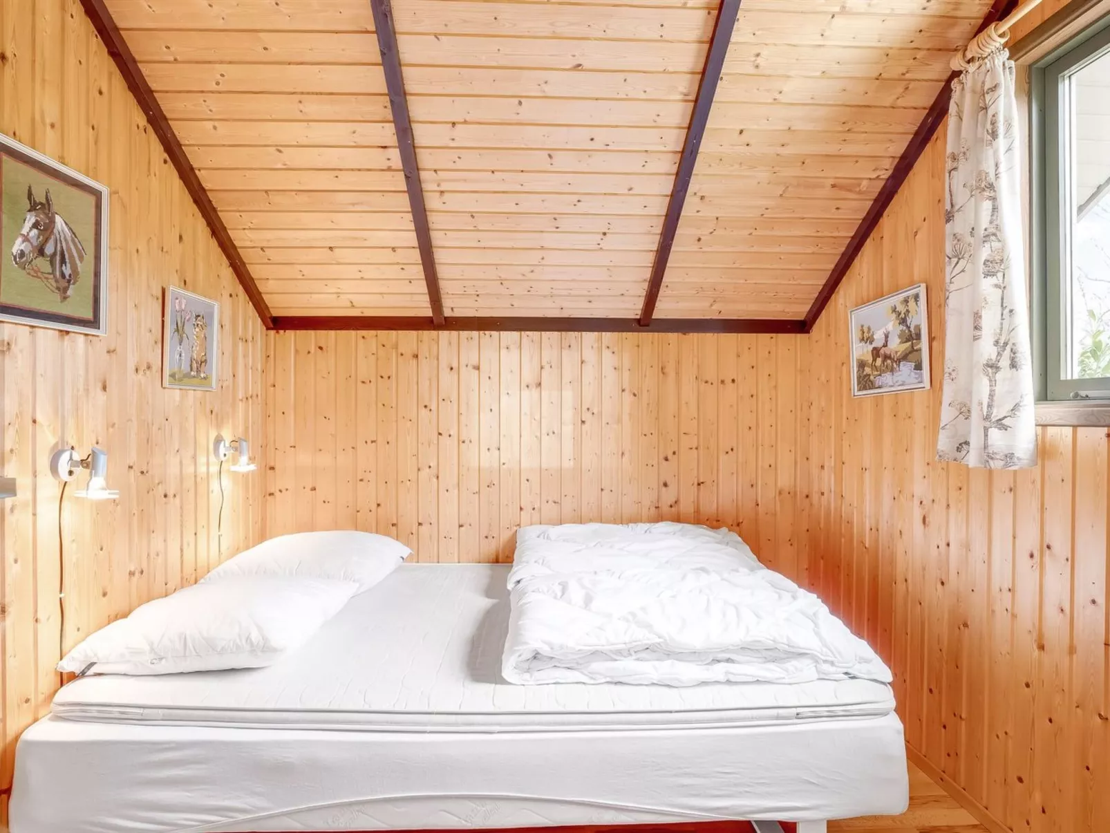 "Ovine" - 900m from the sea-Binnen