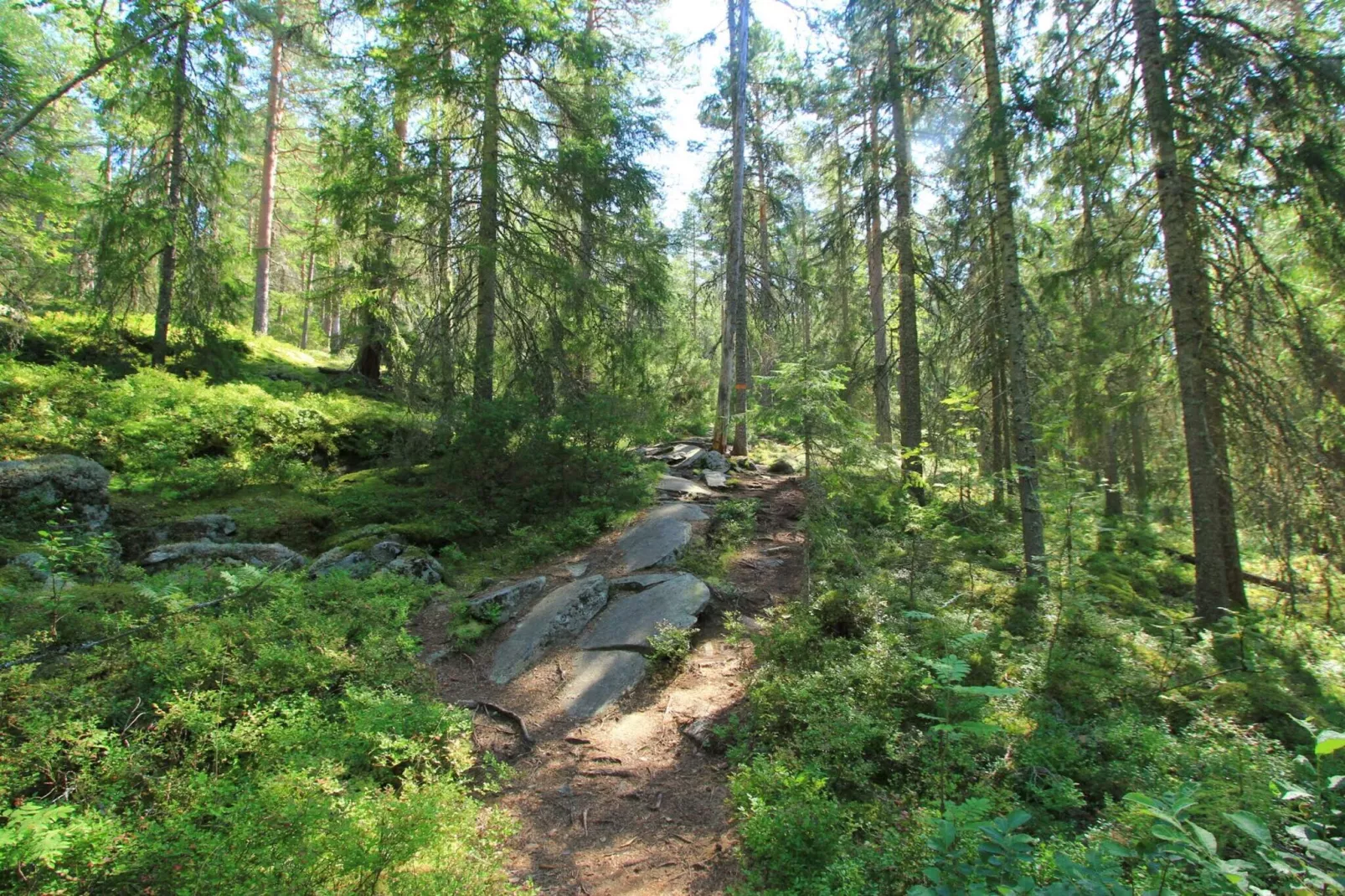 4 sterren vakantie huis in KIL-Niet-getagd