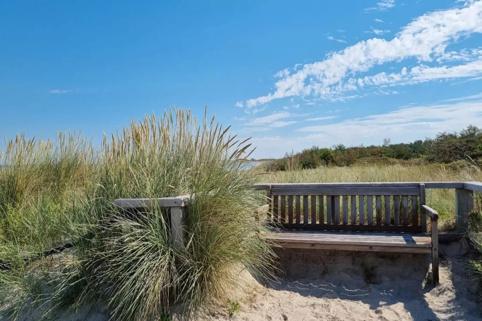 Haus Sonne - Garten Fewo - Strandhotel Fischland-Gebieden zomer 5km