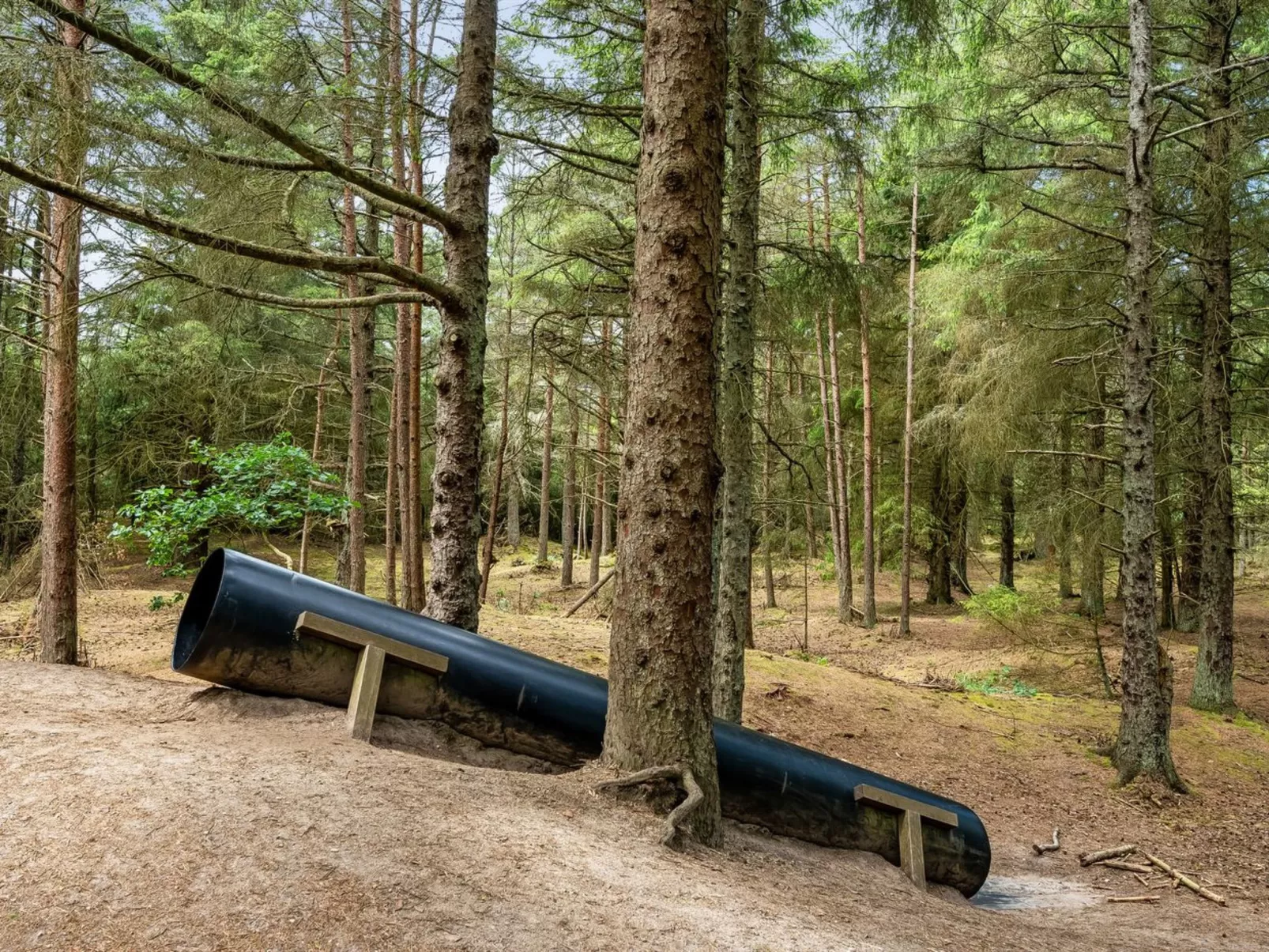 "Kanerva" -  from the sea-Buiten