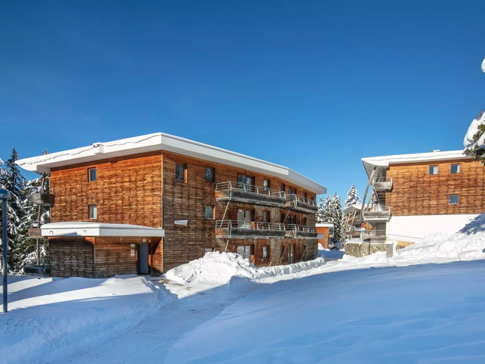 V du Bachat SILENE D-Buiten