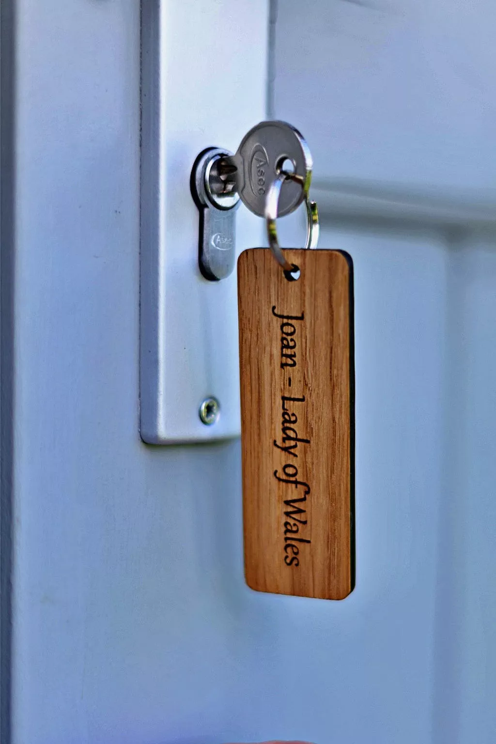 'Joan' Shepherds Hut-Binnen