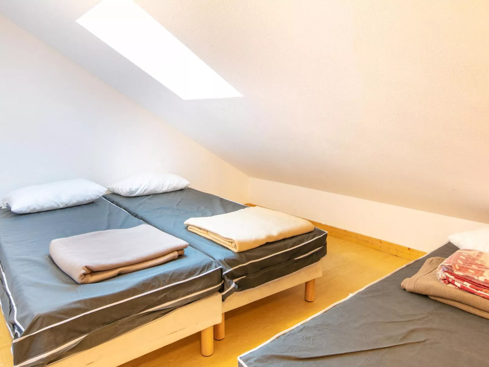 Les Bouquetins-Binnen