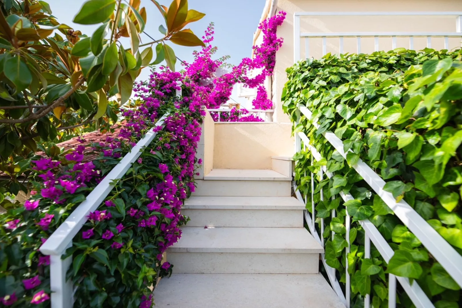 Studio (A3)-Tuinen zomer