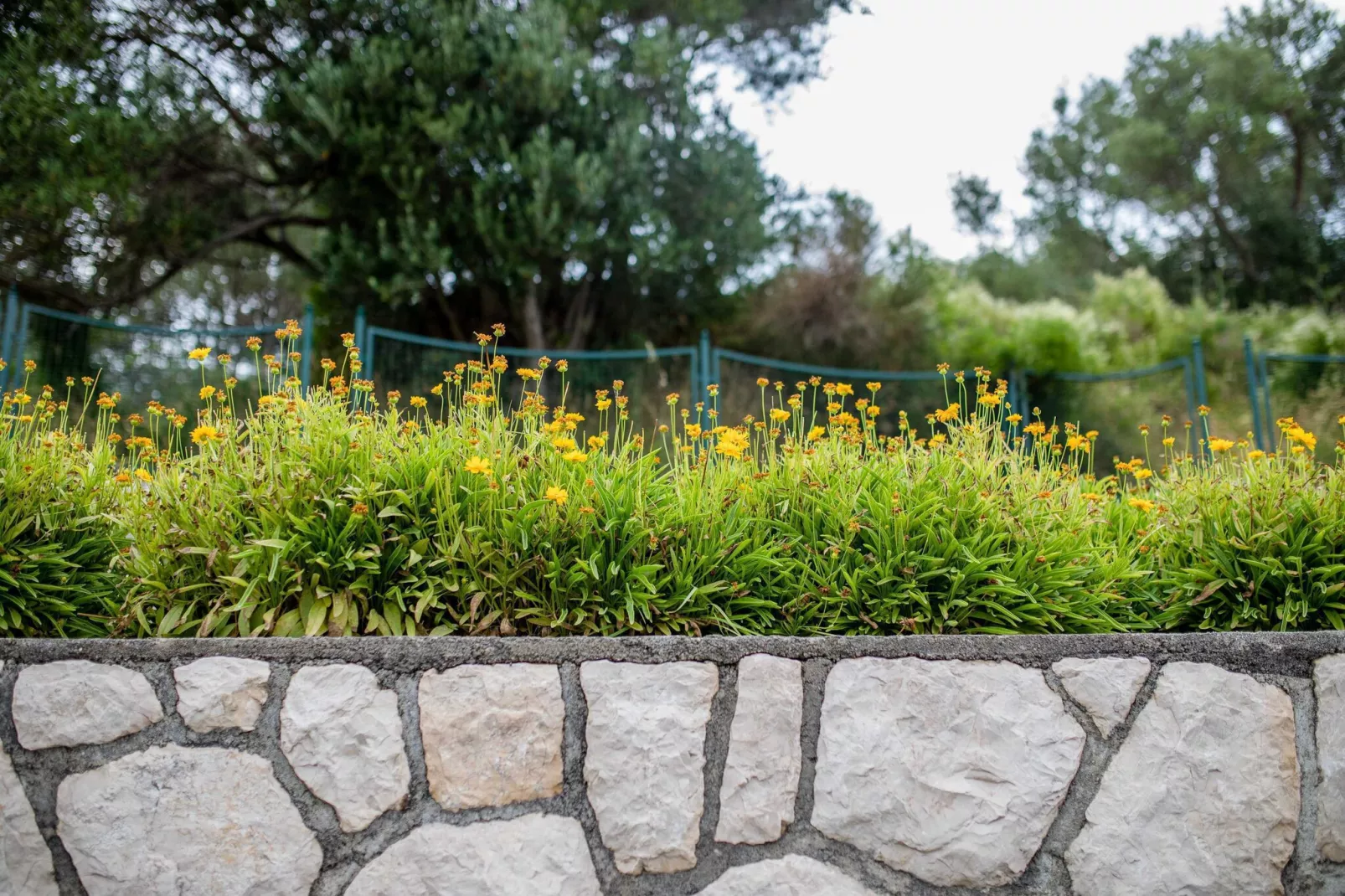 Guest House Villa Anggela - Comfort Triple room with Balcony and Sea View (Br4)-Buitenlucht