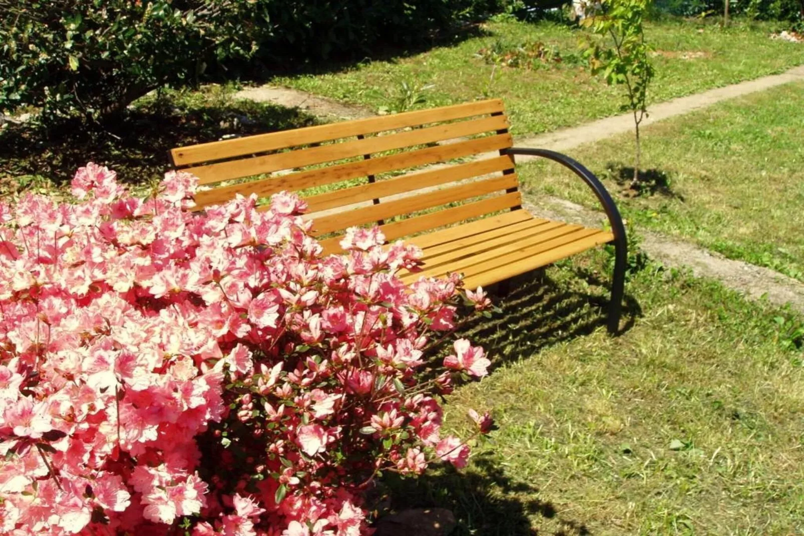 Charming Apartments Kestenovi Dvori - Studio Apartment (A6)-Tuinen zomer